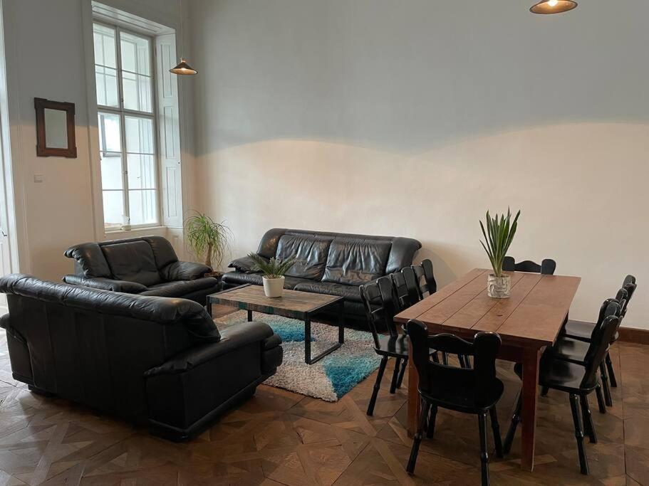 Geraeumige Altbauwohnung Im Zentrum Грац Экстерьер фото